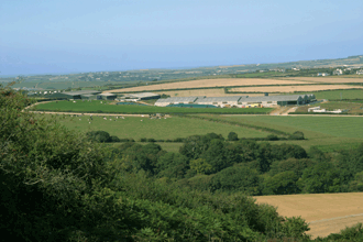 View of Pawton Dairy