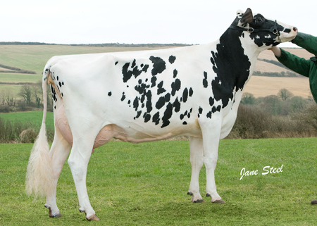 Newton Shottle Destiny