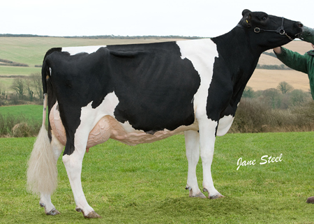 Riverdane LPT Sara