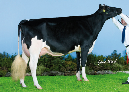 Smiddiehill Goldwyn Sharon