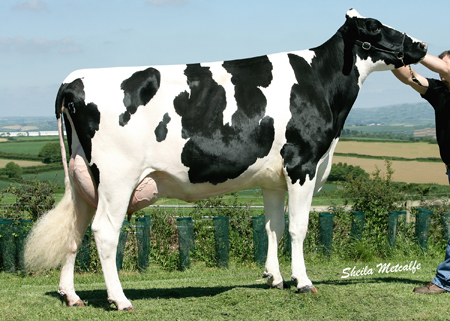Willsbro Shottle Vanessa