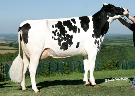 Denmire Shottle Marie